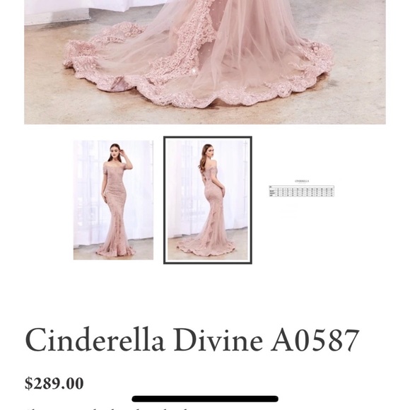 CINDERELLA DIVINE DRESS - Picture 2 of 6